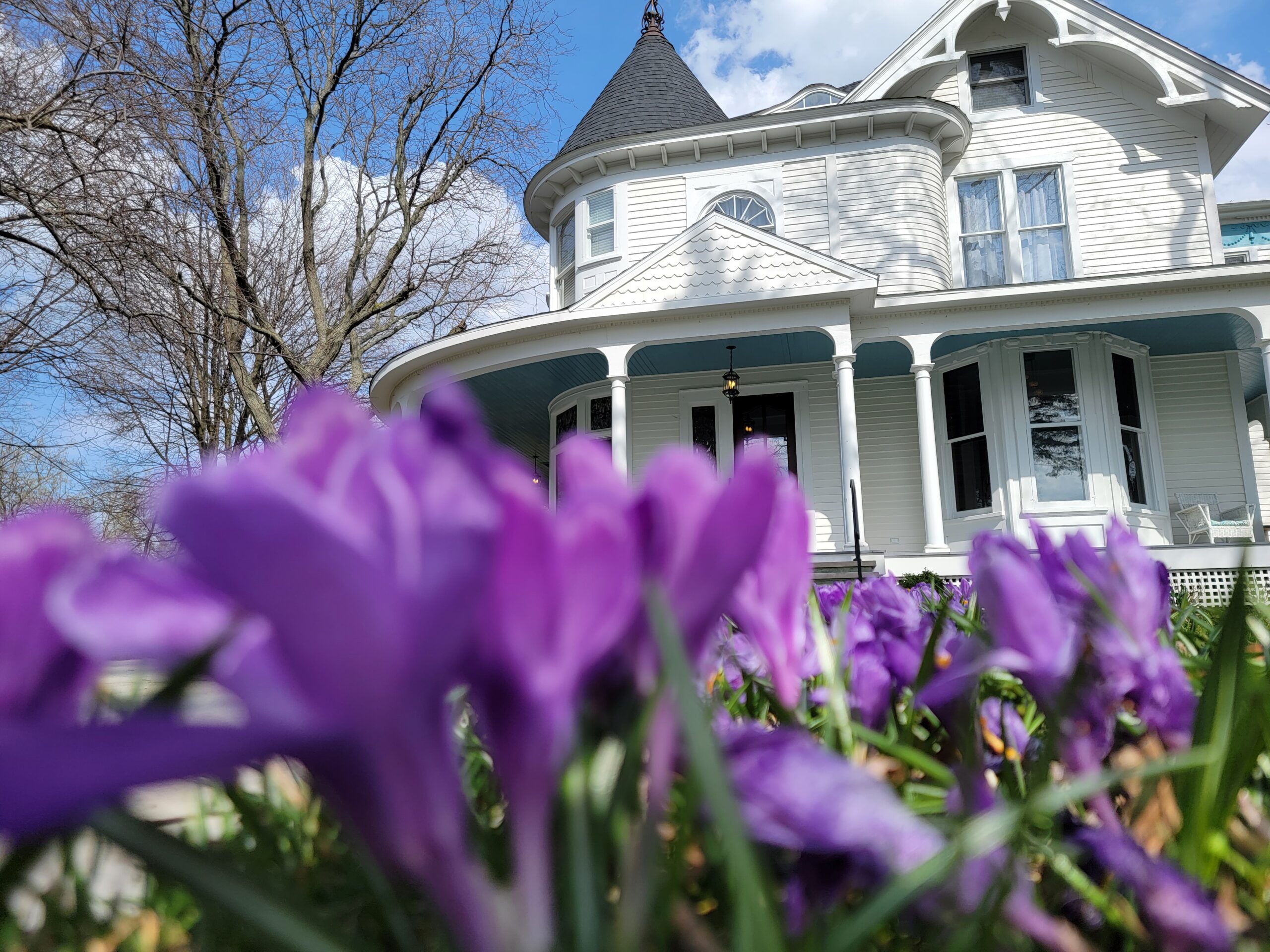 Image of Port Austin B&B